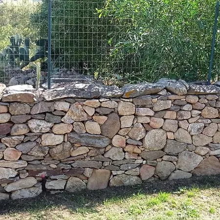 Bouganville Nyaraló *