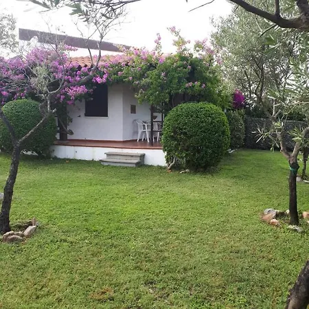 Bouganville San Teodoro
