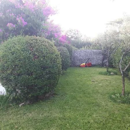 Bouganville Prázdninový dům San Teodoro (Sardinia)